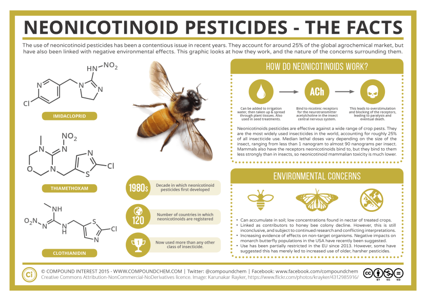 Neonicotinoid-Pesticides-Their-Effect-on-Bee-Colonies-The-Facts-2